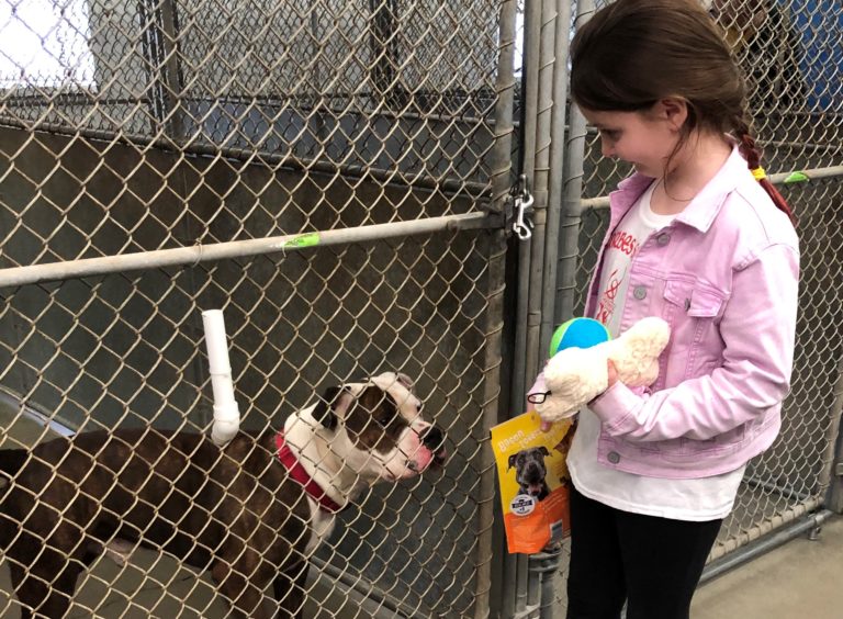 Home Quincy Animal Shelter