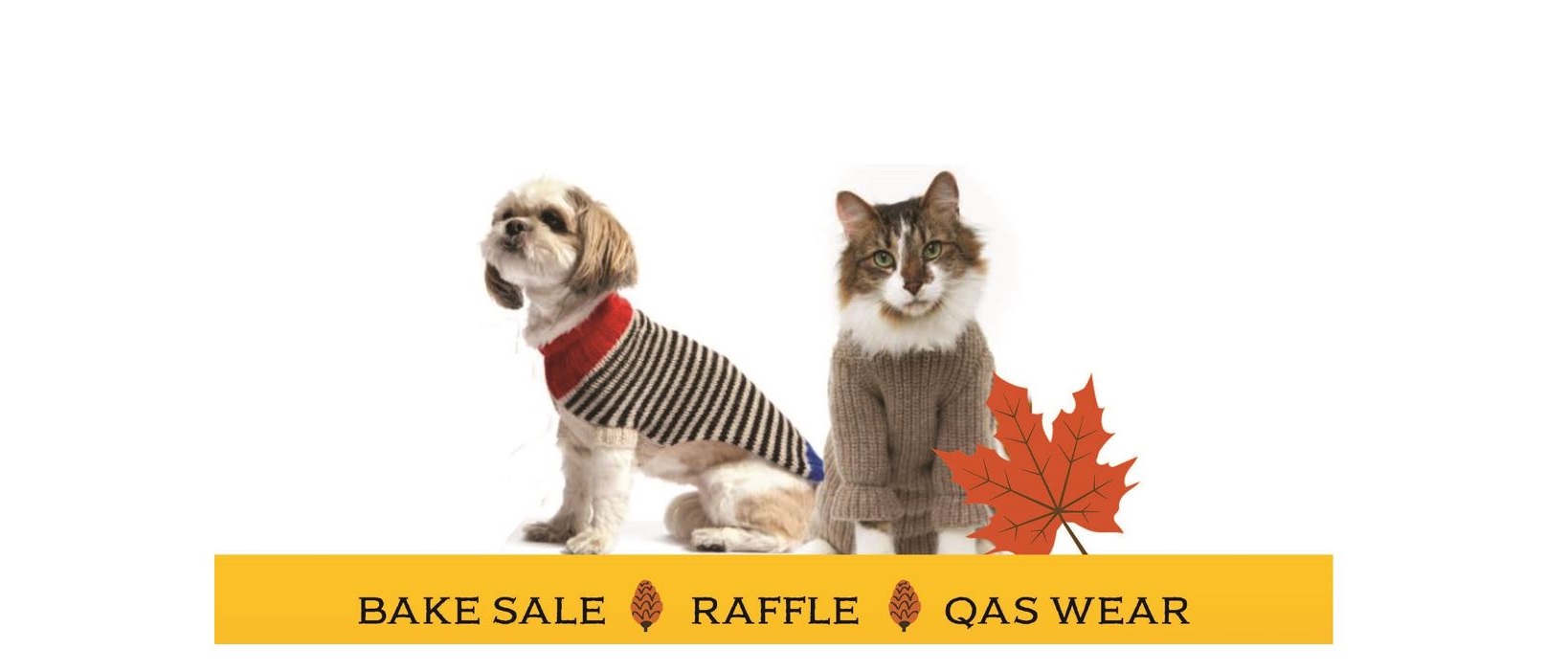 Home Quincy Animal Shelter