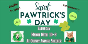 St. Pawtricks Day Open House @ Quincy Animal Shelter